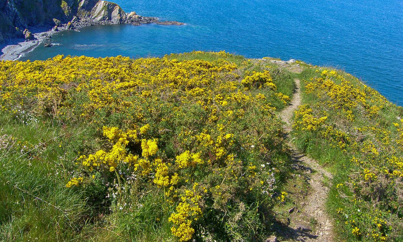 Camping Paimpol Côtes d'Armor