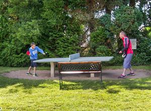 table de ping pong 