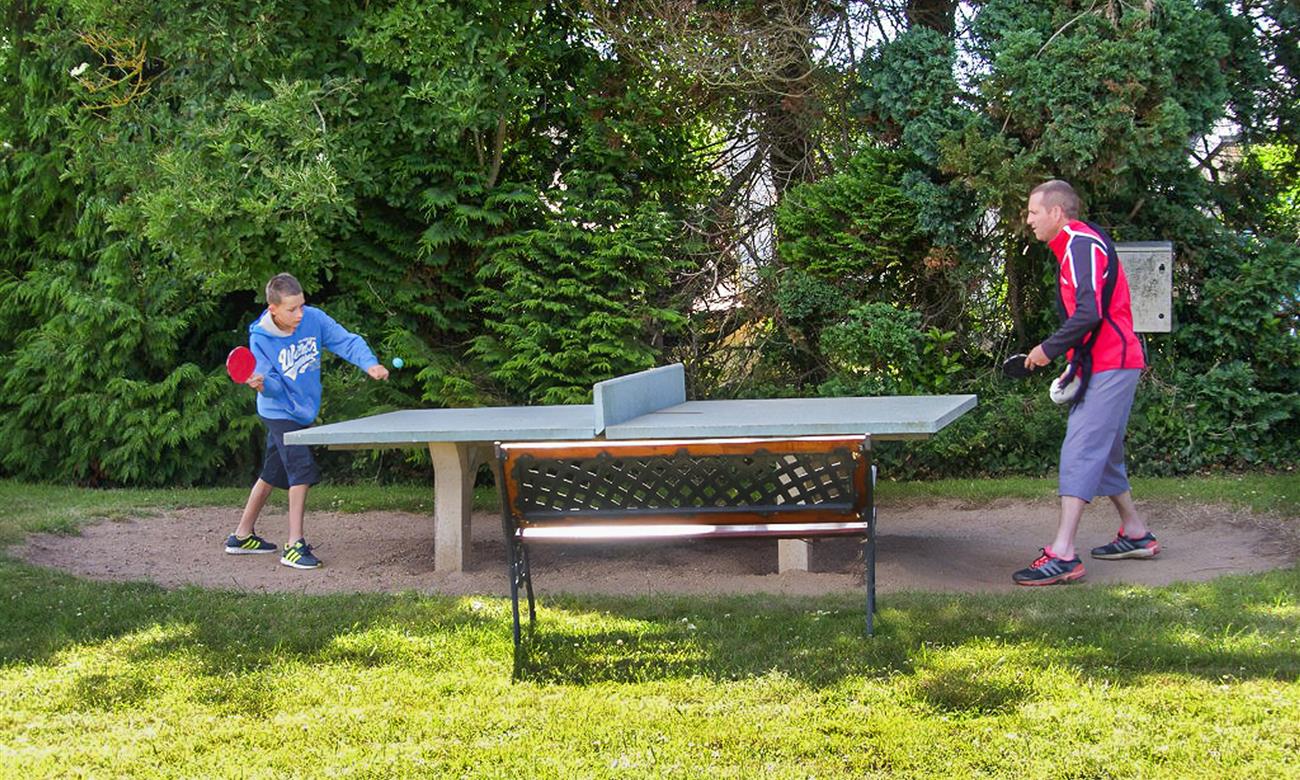 table de ping pong 