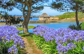 Camping Paimpol Côtes d'Armor