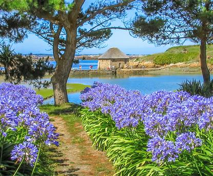 Camping Paimpol Côtes d'Armor