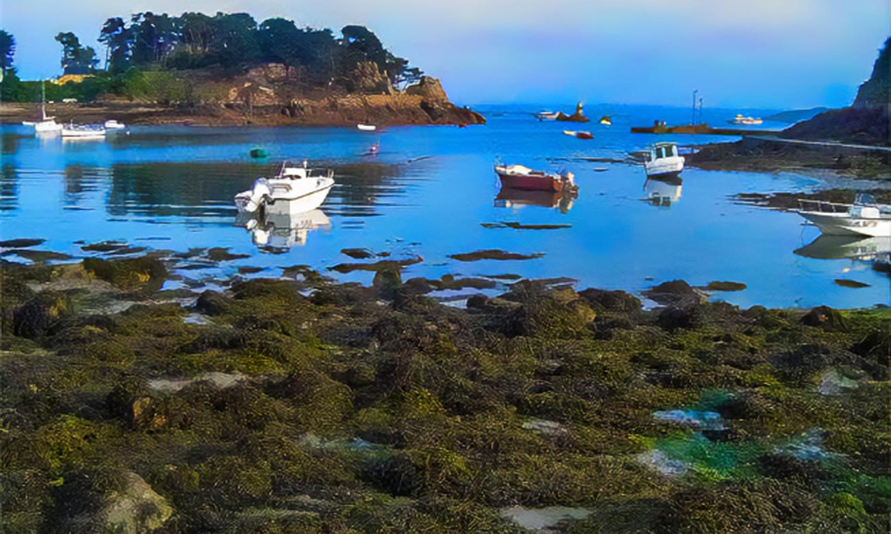Camping Paimpol Côtes d'Armor