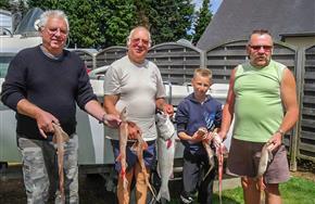 Camping Paimpol Côtes d'Armor