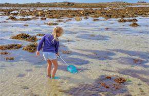Camping Paimpol Côtes d'Armor