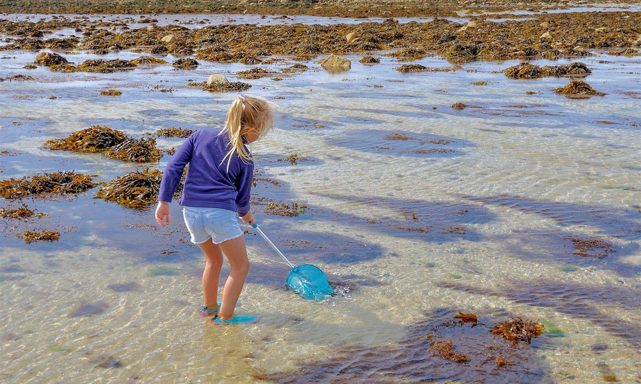 Camping Paimpol Côtes d'Armor