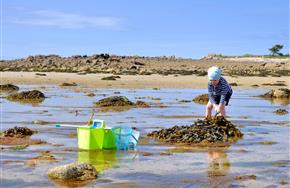 Camping Paimpol Côtes d'Armor