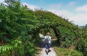 Camping Paimpol Côtes d'Armor