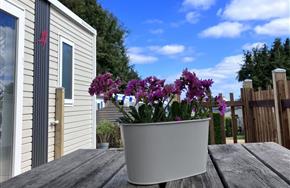Camping Paimpol Côtes d'Armor
