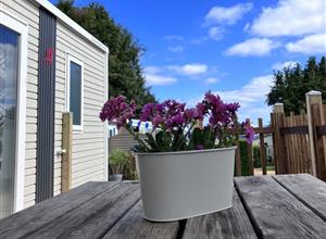 Camping Paimpol Côtes d'Armor